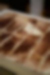 BDM-plat-2500_0000s_0001_4O4A3468